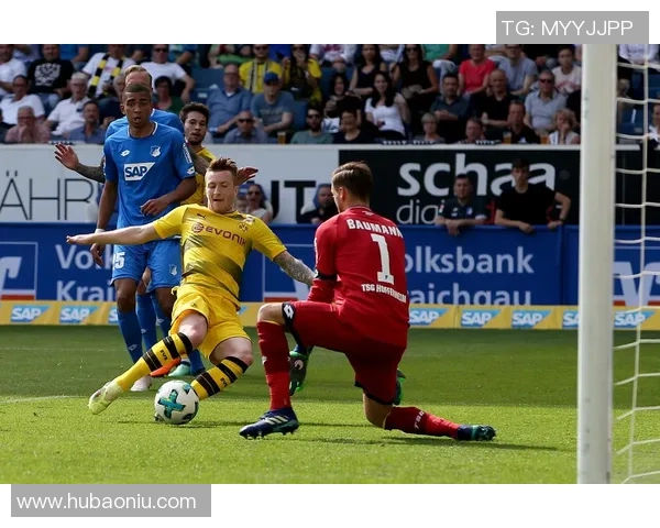 多特蒙德对阵霍芬海姆精彩直播全程回顾与分析
