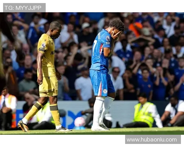 诺维奇主场迎战热刺分析与预测双方状态及战术对比