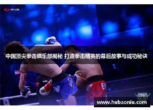 中国顶尖拳击俱乐部揭秘 打造拳击精英的幕后故事与成功秘诀