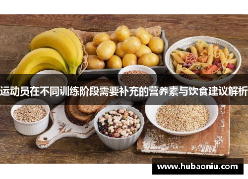 运动员在不同训练阶段需要补充的营养素与饮食建议解析