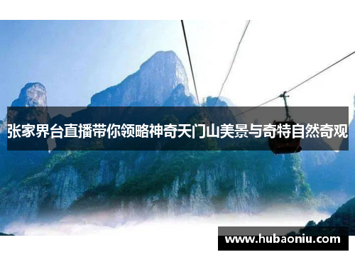 张家界台直播带你领略神奇天门山美景与奇特自然奇观
