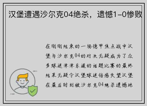 汉堡遭遇沙尔克04绝杀，遗憾1-0惨败