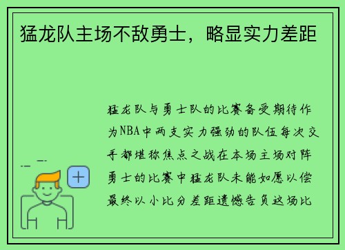 猛龙队主场不敌勇士，略显实力差距